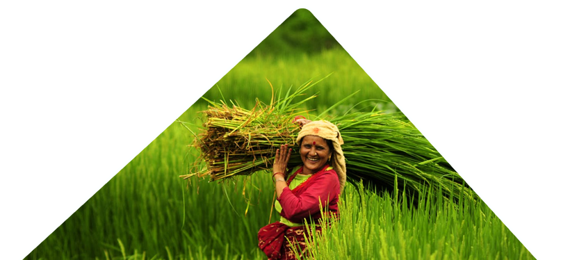 farming