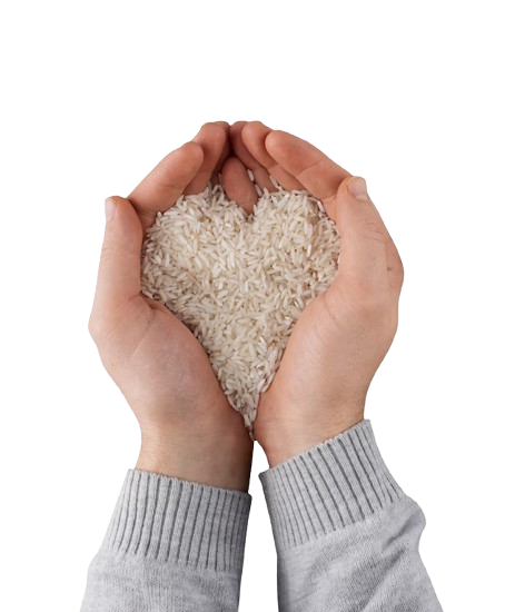 rice_hand-removebg-preview